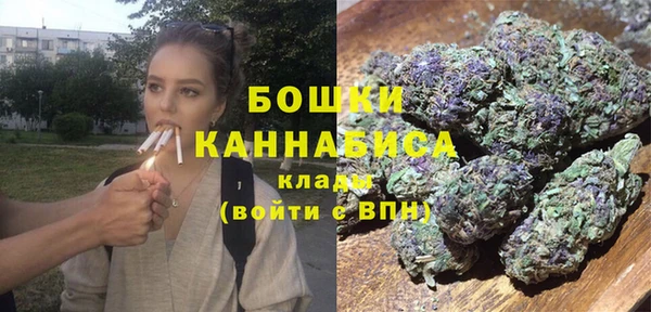 бошки Богданович