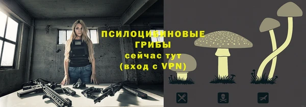 прущие крисы Лабытнанги