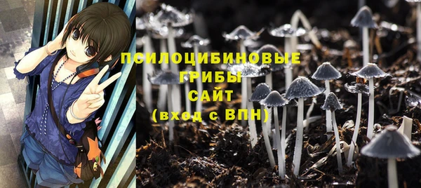 прущие крисы Лабытнанги