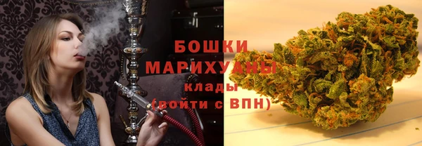 бошки Богданович