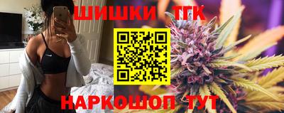 индика Гагарин