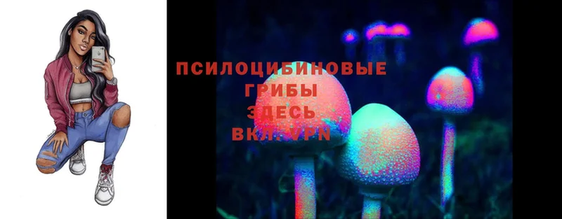 даркнет сайт  Ижевск  Псилоцибиновые грибы MAGIC MUSHROOMS 